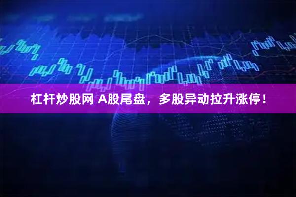 杠杆炒股网 A股尾盘，多股异动拉升涨停！