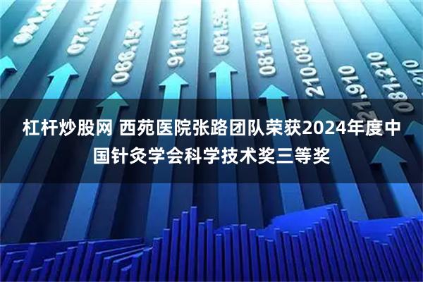 杠杆炒股网 西苑医院张路团队荣获2024年度中国针灸学会科学技术奖三等奖